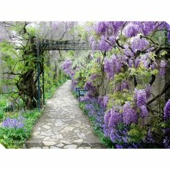 Best deal ⭐ WEST OF THE WIND Wisteria Path Outdoor Art, 40x30 ✔️