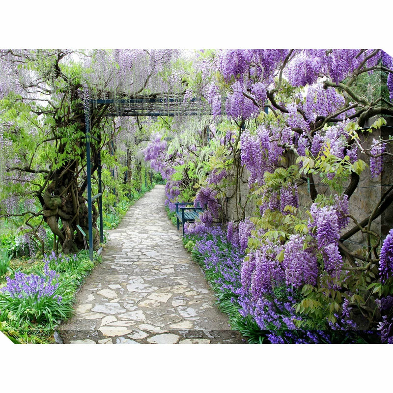 Best deal ⭐ WEST OF THE WIND Wisteria Path Outdoor Art, 40x30 ✔️ 1 Best deal ⭐ WEST OF THE WIND Wisteria Path Outdoor Art, 40x30 ✔️