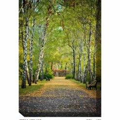 Wholesale 🎉 WEST OF THE WIND Birch Trail Outdoor Art ⌛ -Outdoor Decor Shop 21a1065c06d0a0f6 3749 w800 h800 b0 p0
