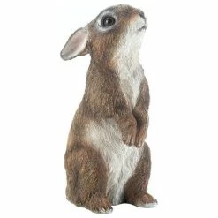 Top 10 🧨 Summerfield Terrace Standing Bunny Garden Decor 🤩 -Outdoor Decor Shop 2201b2e30f182f10 9444 w800 h800 b1 p0