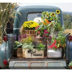 Cheap 😍 WEST OF THE WIND Fresh Produce Outdoor Art 🔔