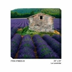 Best reviews of 😍 WEST OF THE WIND La Lavender Outdoor Art ⌛ -Outdoor Decor Shop 47d105af06d09ebd 2591 w800 h800 b0 p0