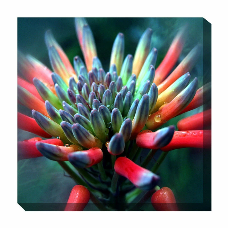 Deals 𧨠WEST OF THE WIND Sparkler Outdoor Art π 2 Deals 𧨠WEST OF THE WIND Sparkler Outdoor Art π - Image 2