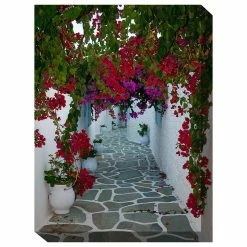 Deals ✨ WEST OF THE WIND Bougainvillea Path Outdoor Art 🛒