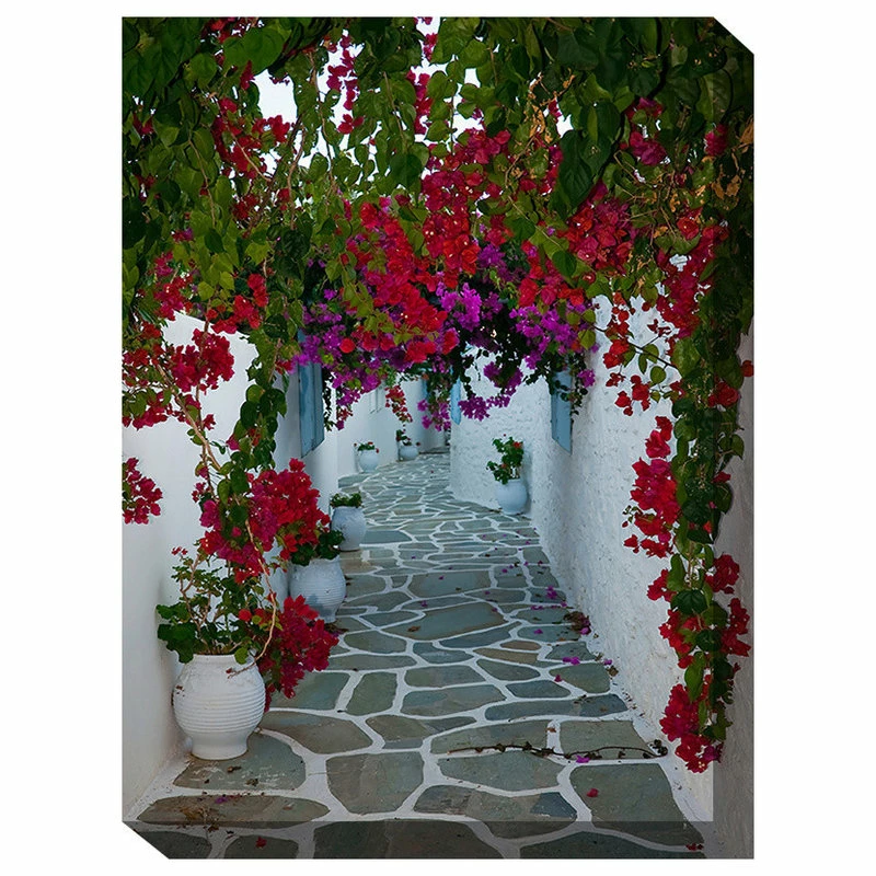 Deals β¨ WEST OF THE WIND Bougainvillea Path Outdoor Art π 1 Deals β¨ WEST OF THE WIND Bougainvillea Path Outdoor Art π