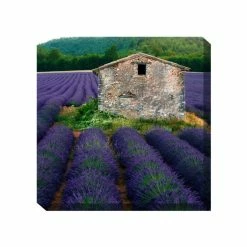 Best reviews of 😍 WEST OF THE WIND La Lavender Outdoor Art ⌛