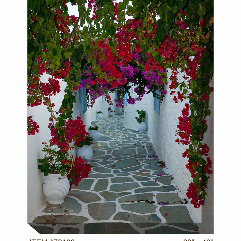 Deals β¨ WEST OF THE WIND Bougainvillea Path Outdoor Art π 2 Deals β¨ WEST OF THE WIND Bougainvillea Path Outdoor Art π - Image 2
