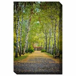 Wholesale 🎉 WEST OF THE WIND Birch Trail Outdoor Art ⌛