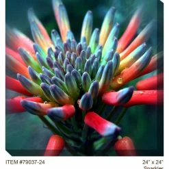 Deals 𧨠WEST OF THE WIND Sparkler Outdoor Art π 5 Deals 𧨠WEST OF THE WIND Sparkler Outdoor Art π -Outdoor Decor Shop 98e1bfce06d09f47 2651 w800 h800 b0 p0