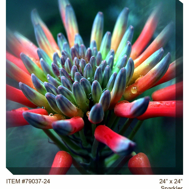 Deals 𧨠WEST OF THE WIND Sparkler Outdoor Art π 3 Deals 𧨠WEST OF THE WIND Sparkler Outdoor Art π - Image 3