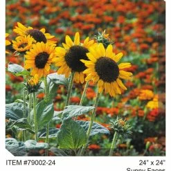 Budget 😍 WEST OF THE WIND Sunny Faces Outdoor Art 🌟 -Outdoor Decor Shop a5110cc406d09eff 2591 w800 h800 b0 p0