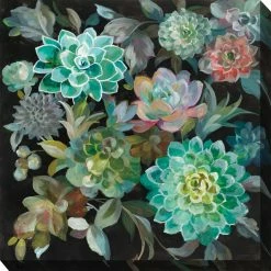 Best Pirce 🌟 West Of The Wind LLC Succulent Fanfare 👏