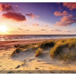 Cheap 🎁 WEST OF THE WIND Windswept Outdoor Art 😉