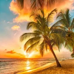 Flash Sale 🤩 WEST OF THE WIND Setting Sun Outdoor Art 🎉