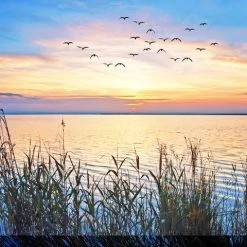 Cheapest ⭐ WEST OF THE WIND Lake Sunset Outdoor Art, 40x30 🔥